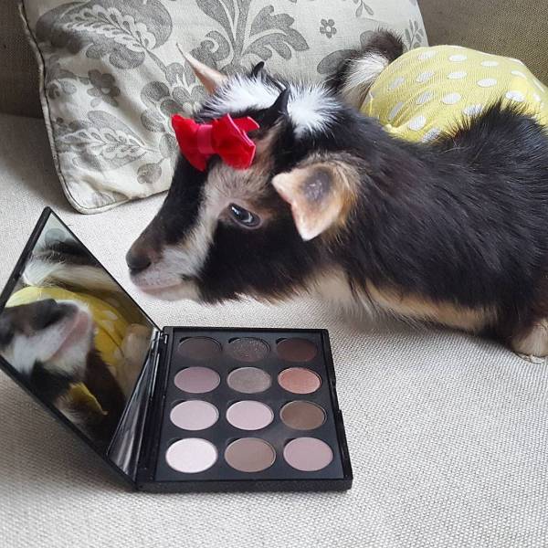 daily picdump 102 pics 49.html - 102 HD Photos | Premium Gallery 2017