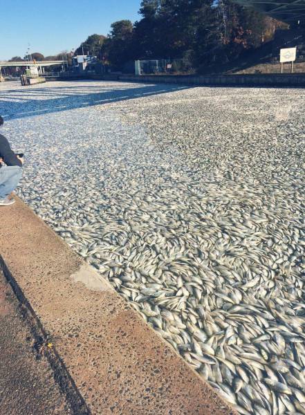 daily picdump 102 pics 49.html - 102 HD Photos | Premium Gallery 2017