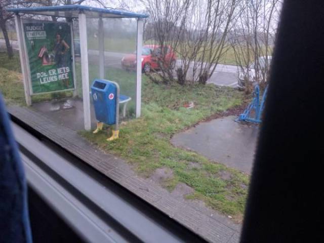 daily picdump 102 pics 49.html - 102 HD Photos | Premium Gallery 2017