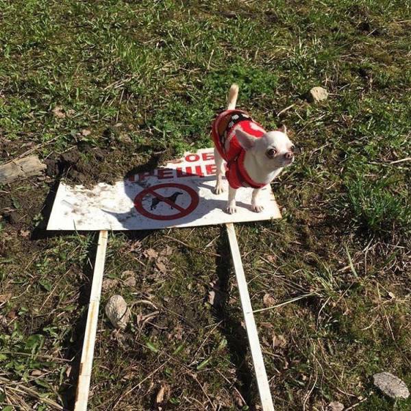 daily picdump 102 pics 49.html - 102 HD Photos | Premium Gallery 2017