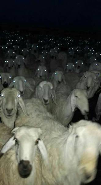 daily picdump 102 pics 49.html - 102 HD Photos | Premium Gallery 2017