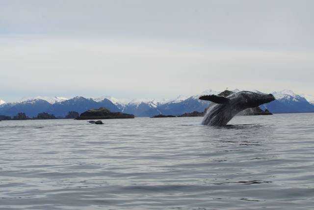 daily picdump 102 pics 49.html - 102 HD Photos | Premium Gallery 2017