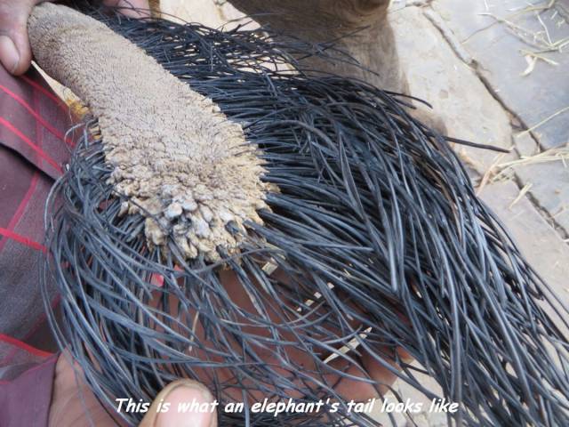 daily picdump 102 pics 49.html - 102 HD Photos | Premium Gallery 2017