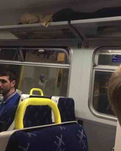 daily picdump 102 pics 49.html - 102 HD Photos | Premium Gallery 2017