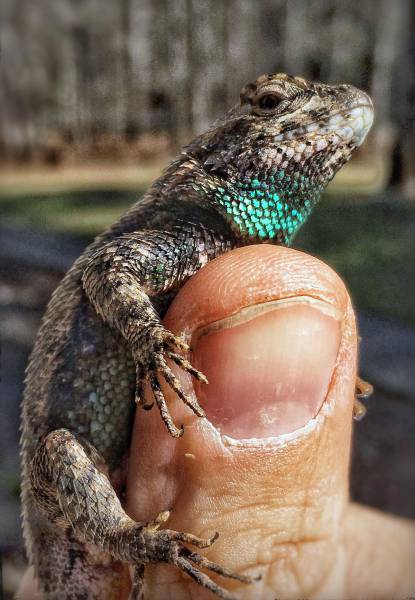 daily picdump 102 pics 49.html - 102 HD Photos | Premium Gallery 2017