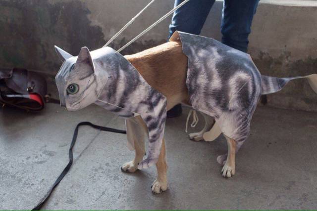 daily picdump 102 pics 49.html - 102 HD Photos | Premium Gallery 2017