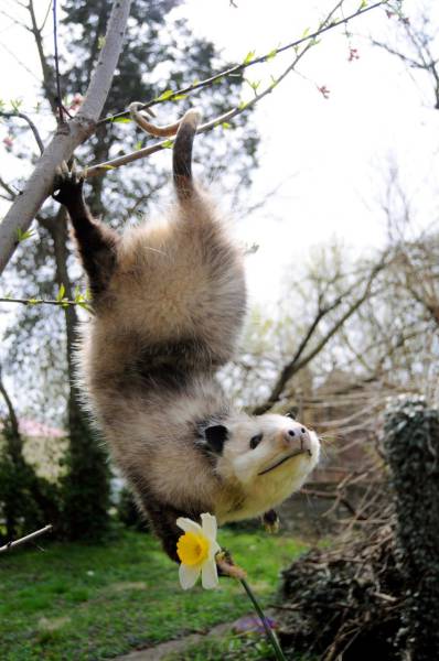 daily picdump 102 pics 49.html - 102 HD Photos | Premium Gallery 2017