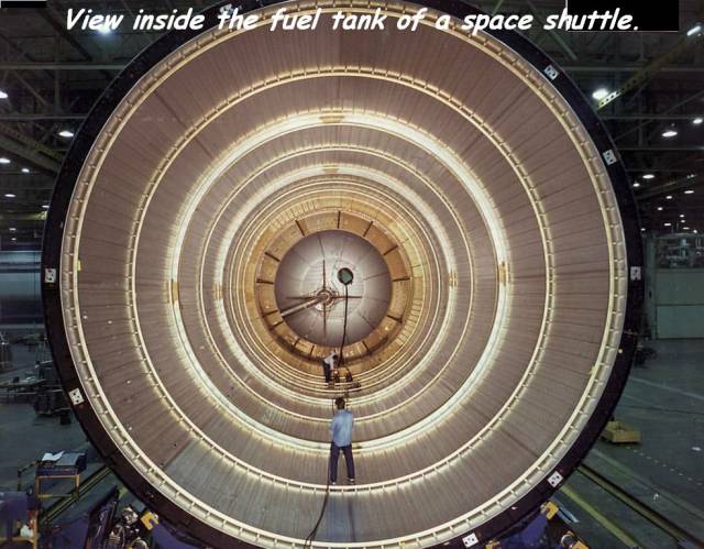 daily picdump 102 pics 49.html - 102 HD Photos | Premium Gallery 2017