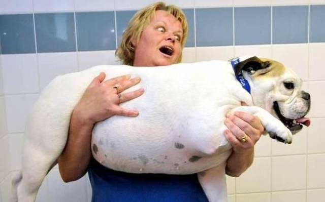 daily picdump 102 pics 49.html - 102 HD Photos | Premium Gallery 2017