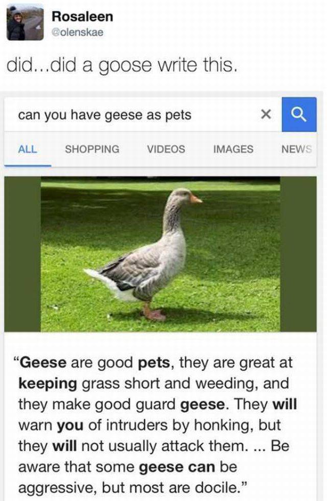 daily picdump 102 pics 49.html - 102 HD Photos | Premium Gallery 2017