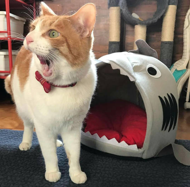 morning picdump 52 pics 9.html - 52 HD Photos | Premium Gallery 2017