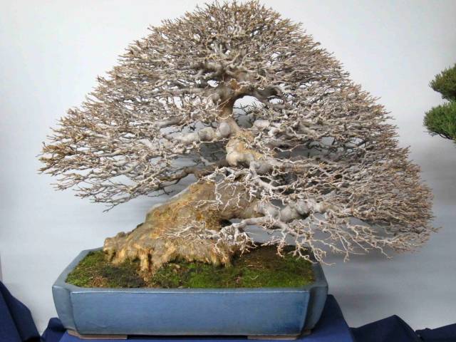 morning picdump 52 pics 9.html - 52 HD Photos | Premium Gallery 2017