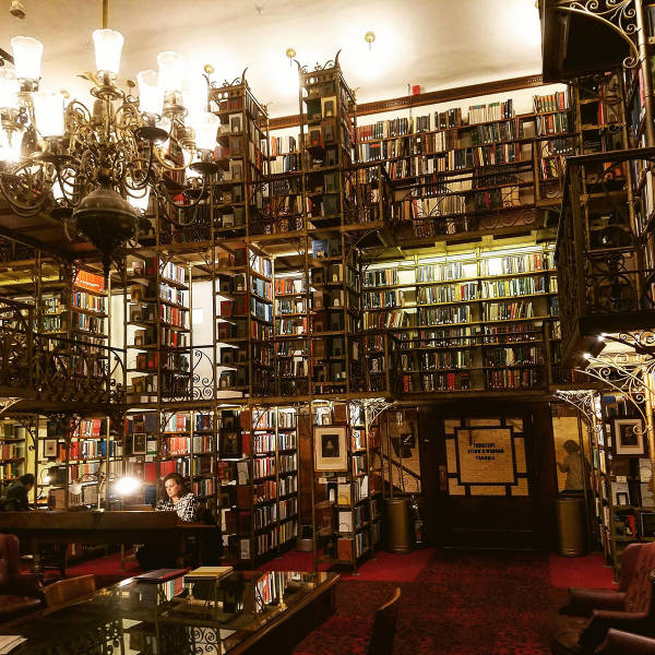 morning picdump 52 pics 9.html - 52 HD Photos | Premium Gallery 2017