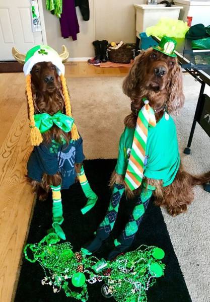 daily picdump 102 pics 38.html - 102 HD Photos | Premium Gallery 2017