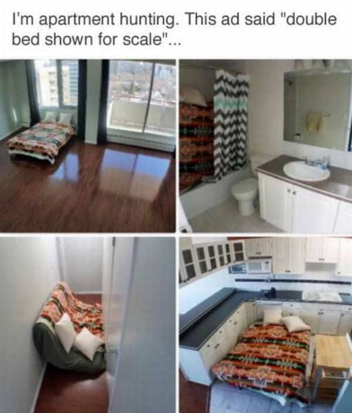 daily picdump 102 pics 38.html - 102 HD Photos | Premium Gallery 2017