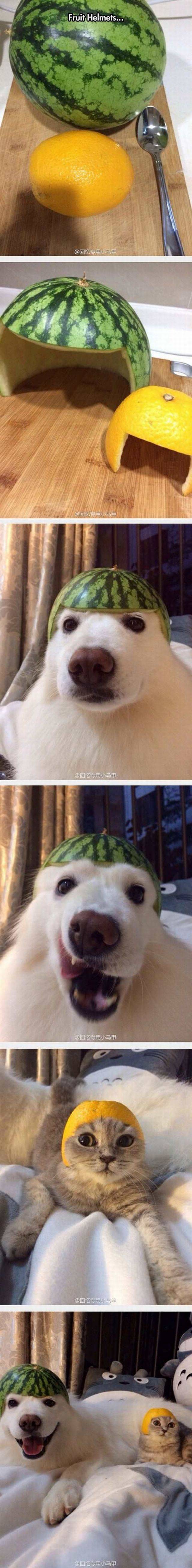 daily picdump 102 pics 38.html - 102 HD Photos | Premium Gallery 2017