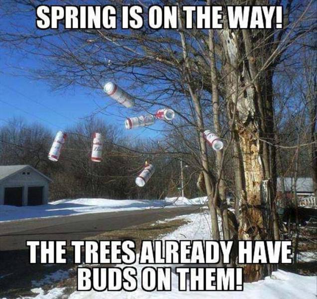 Funny Picdump