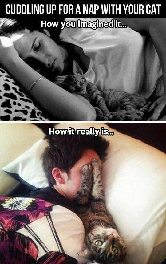 Funny Picdump