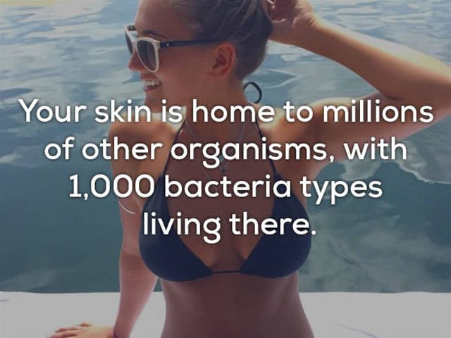 Is Everything Of This Really About Our Skin?!
