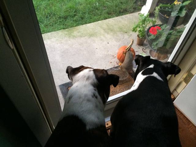 daily picdump 101 pics 38.html - 101 HD Photos | Premium Gallery 2017