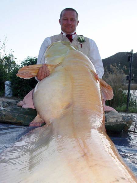 daily picdump 101 pics 38.html - 101 HD Photos | Premium Gallery 2017