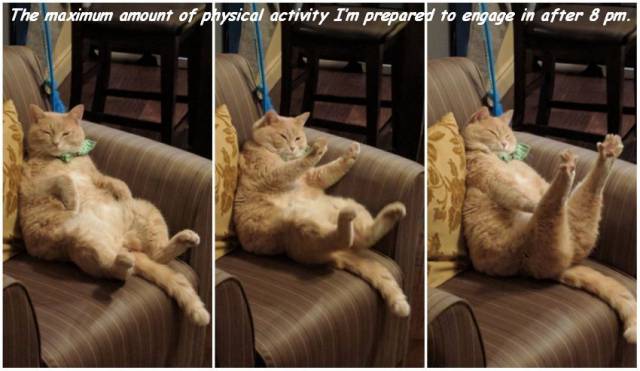 daily picdump 101 pics 38.html - 101 HD Photos | Premium Gallery 2017