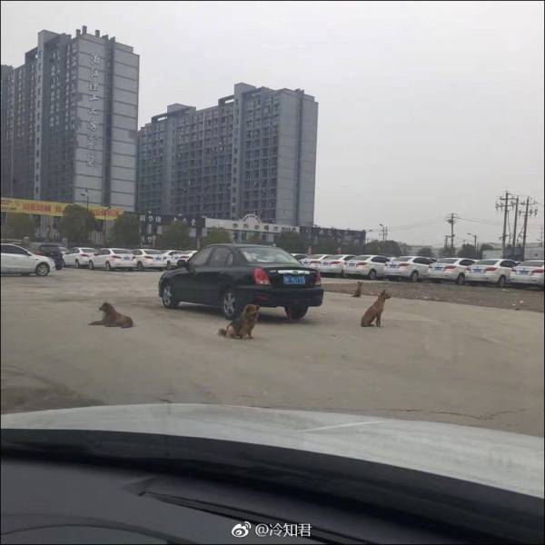 daily picdump 101 pics 38.html - 101 HD Photos | Premium Gallery 2017