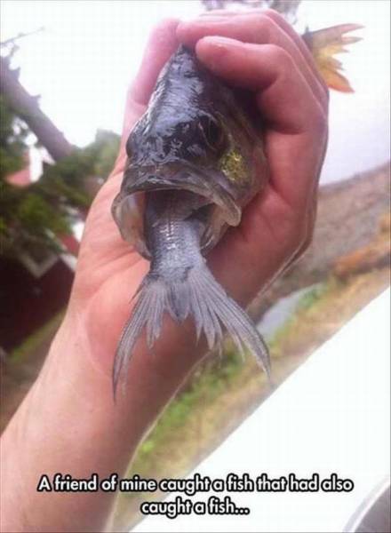 daily picdump 101 pics 38.html - 101 HD Photos | Premium Gallery 2017