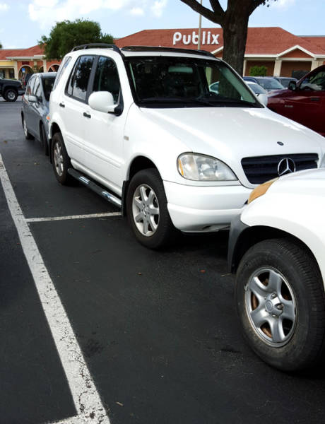 morning picdump 50 pics 5.html - 50 HD Photos | Premium Gallery 2017