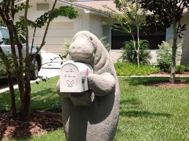 morning picdump 50 pics 5.html - 50 HD Photos | Premium Gallery 2017