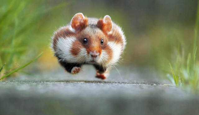 morning picdump 50 pics 5.html - 50 HD Photos | Premium Gallery 2017