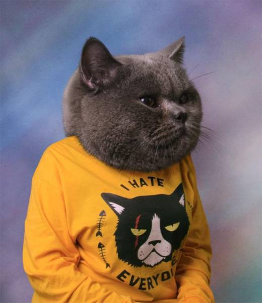 Daily Picdump [WEEKEND EDITION]