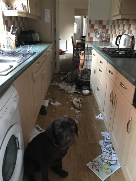 Daily Picdump [WEEKEND EDITION]