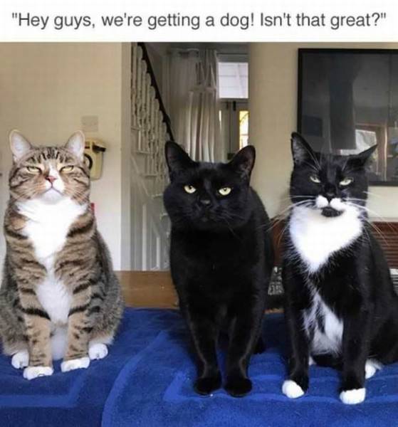 daily picdump 100 pics 10.html - 100 HD Photos | Premium Gallery 2017