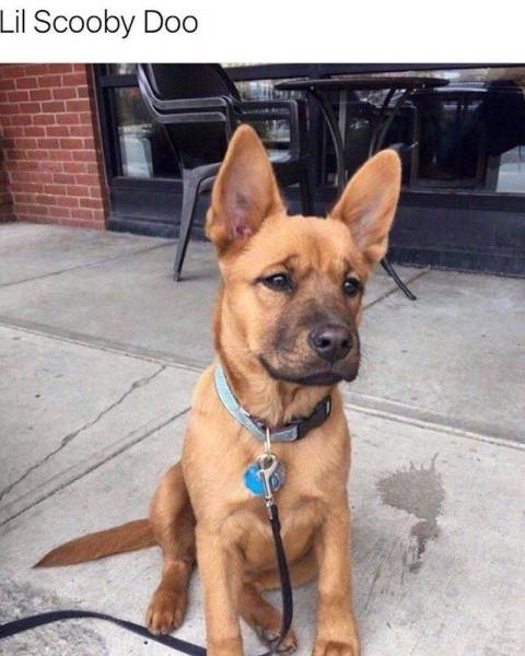 daily picdump 100 pics 10.html - 100 HD Photos | Premium Gallery 2017