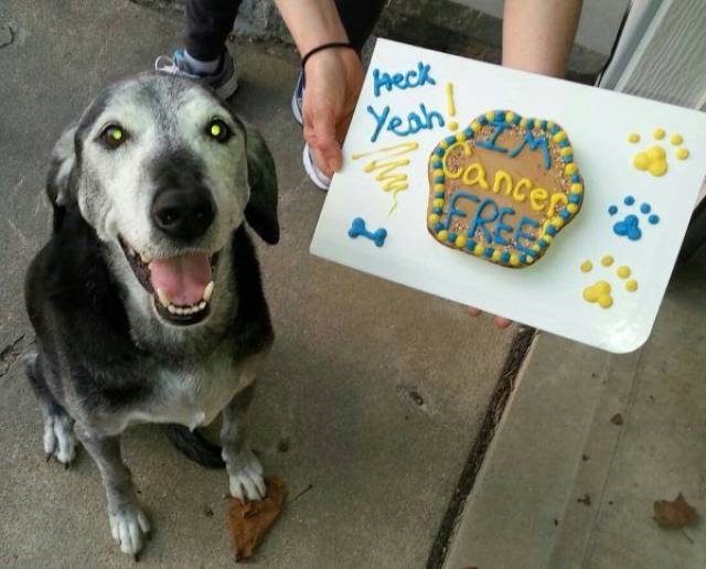 daily picdump 100 pics 10.html - 100 HD Photos | Premium Gallery 2017