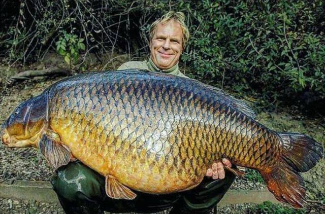 daily picdump 100 pics 10.html - 100 HD Photos | Premium Gallery 2017