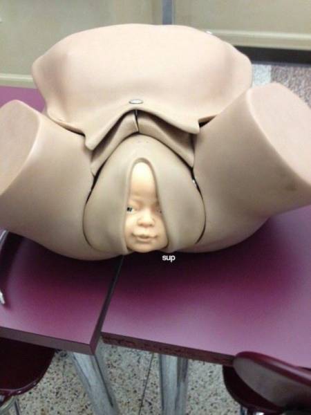 daily picdump 100 pics 10.html - 100 HD Photos | Premium Gallery 2017