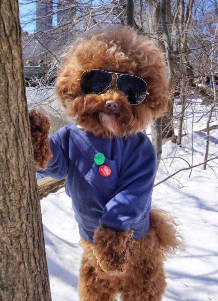 daily picdump 100 pics 10.html - 100 HD Photos | Premium Gallery 2017