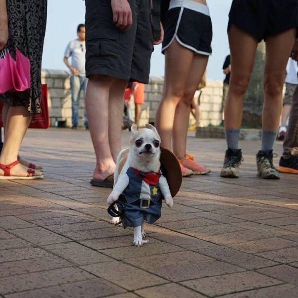 daily picdump 100 pics 10.html - 100 HD Photos | Premium Gallery 2017