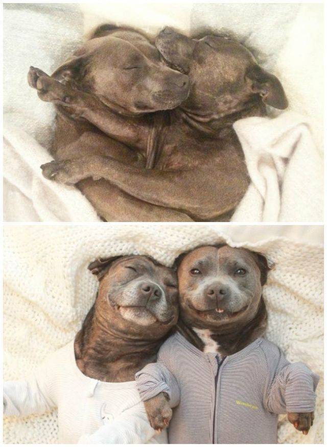 daily picdump 100 pics 10.html - 100 HD Photos | Premium Gallery 2017