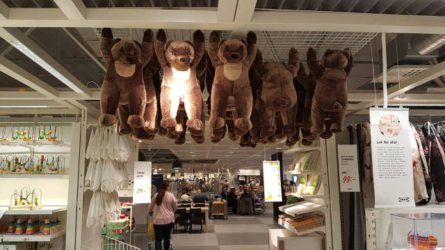 morning picdump 50 pics 3.html - 50 HD Photos | Premium Gallery 2017