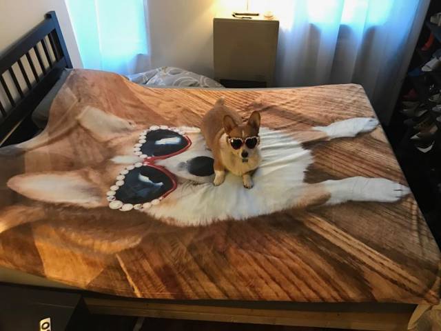 morning picdump 50 pics 3.html - 50 HD Photos | Premium Gallery 2017