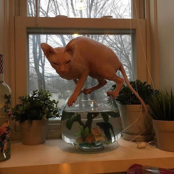 daily picdump 98 pics 47.html - 98 HD Photos | Premium Gallery 2017