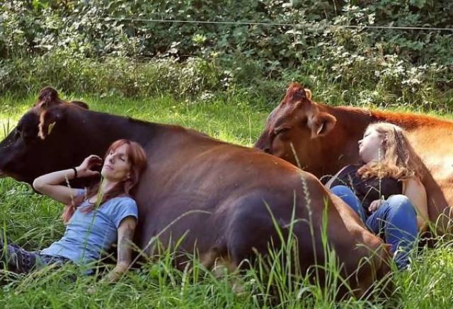 daily picdump 98 pics 47.html - 98 HD Photos | Premium Gallery 2017