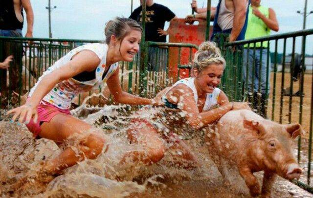 daily picdump 98 pics 47.html - 98 HD Photos | Premium Gallery 2017