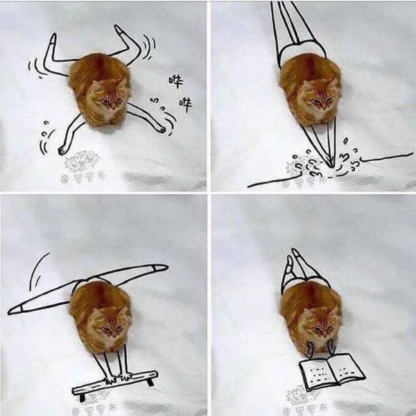 morning picdump 52 pics 16.html - 52 HD Photos | Premium Gallery 2017