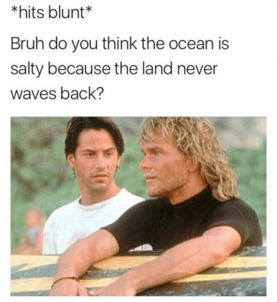 funny picdump 51 pics 25.html - 51 HD Photos | Premium Gallery 2017