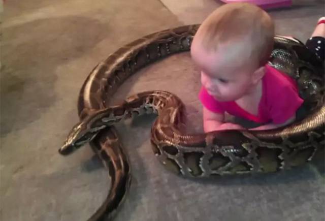 daily picdump 100 pics 3.html - 100 HD Photos | Premium Gallery 2017