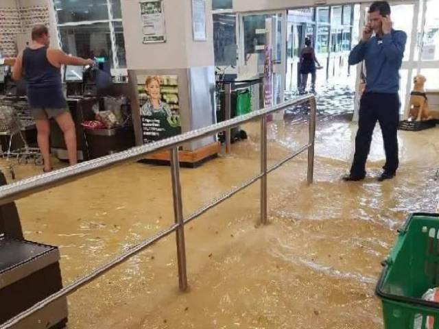 daily picdump 100 pics 3.html - 100 HD Photos | Premium Gallery 2017